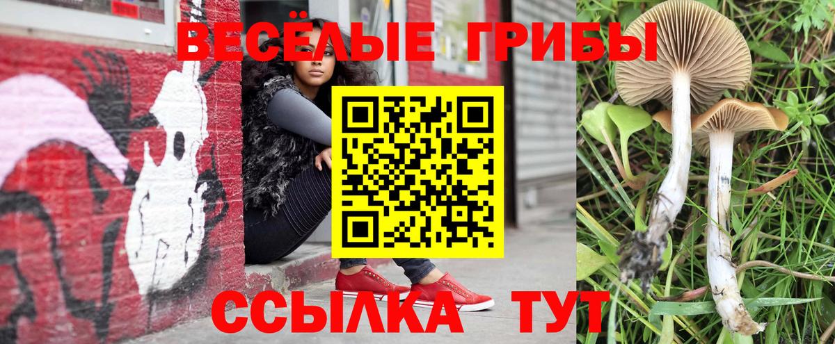 Галлюциногенные грибы мухоморы Мыски