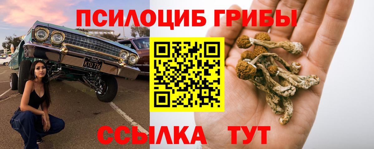 Галлюциногенные грибы мицелий  Вход с VPN  даркнет сайт  Мыски 