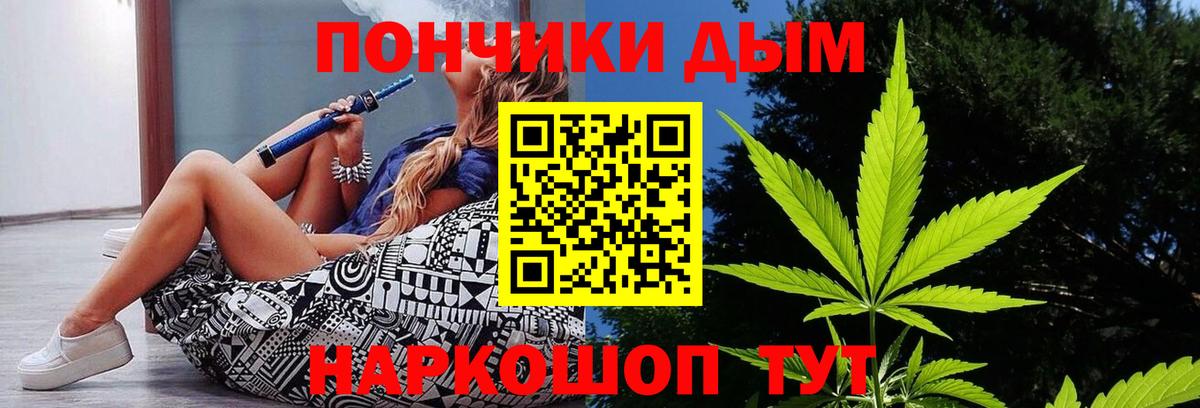 Бошки Шишки планчик Мыски